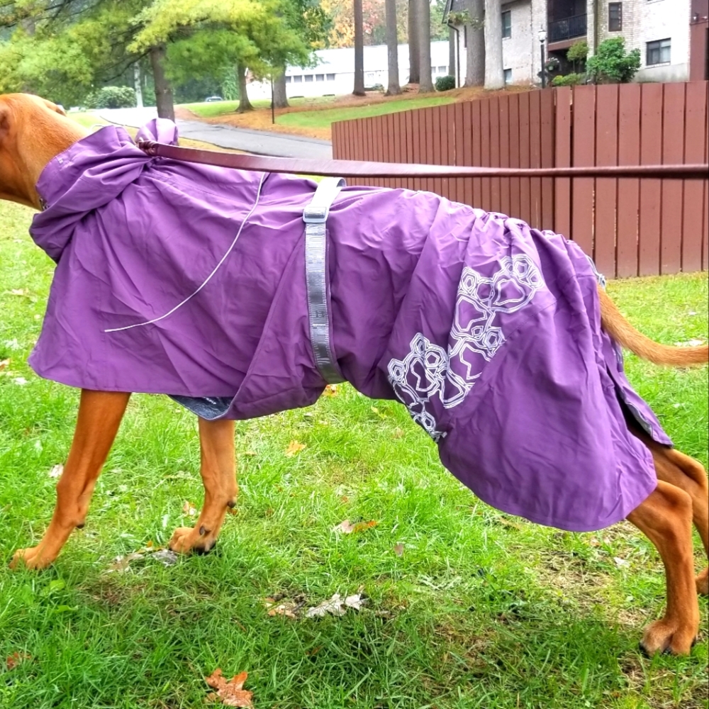 Hurtta drizzle 35in great condition